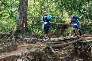 BIB: 
                            <button type="button" onclick="openModal(27558362)" class="btn btn-primary btn-sm float-right btn-popup" data-toggle="modal" data-target=".modal-high-quality">
                        <i class="fas fa-shopping-cart"></i> Add to Cart
                    </button>
                                            <button type="button" onclick="isThisMe(27558362, true)" class="btn btn-success btn-sm float-right btn-popup btn-isme hidden" data-toggle="tooltip" data-placement="bottom" title="นี่คือรูปของคุณใช่ไหม คลิกที่นี่เพื่อเอาเข้าอัลบั้ม">
                        <i class="fas fa-plus"></i> Add to album
                    </button>
                    <button type="button" onclick="isThisMe(27558362, false)" class="btn btn-warning btn-sm float-right btn-popup btn-isnotme hidden">
                        <i class="fas fa-ban"></i> Remove from album
                    </button>